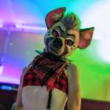 ryffhyena from onlyfans